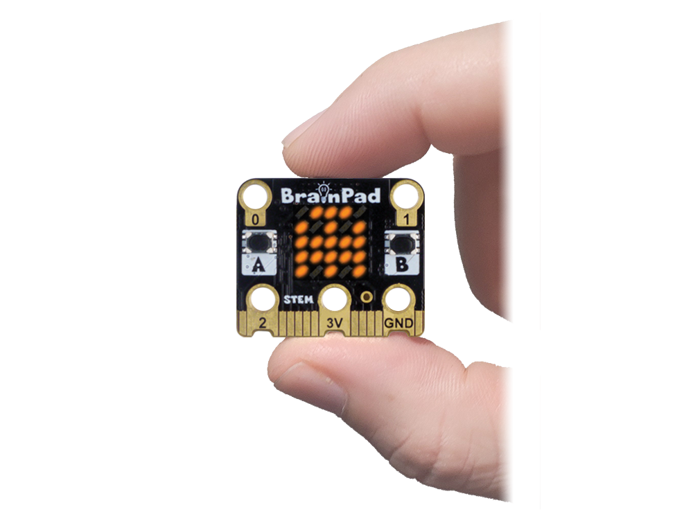 BrainPadTickHandSize